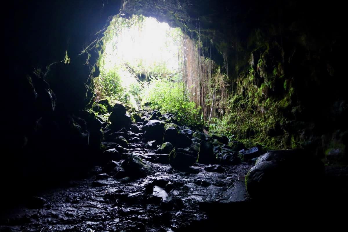 Вхід до печер Каумана поблизу Хіло, Гаваї