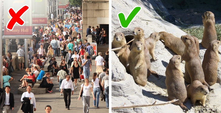 10 відповідей на дивні питання, які не давали нам спати ночами