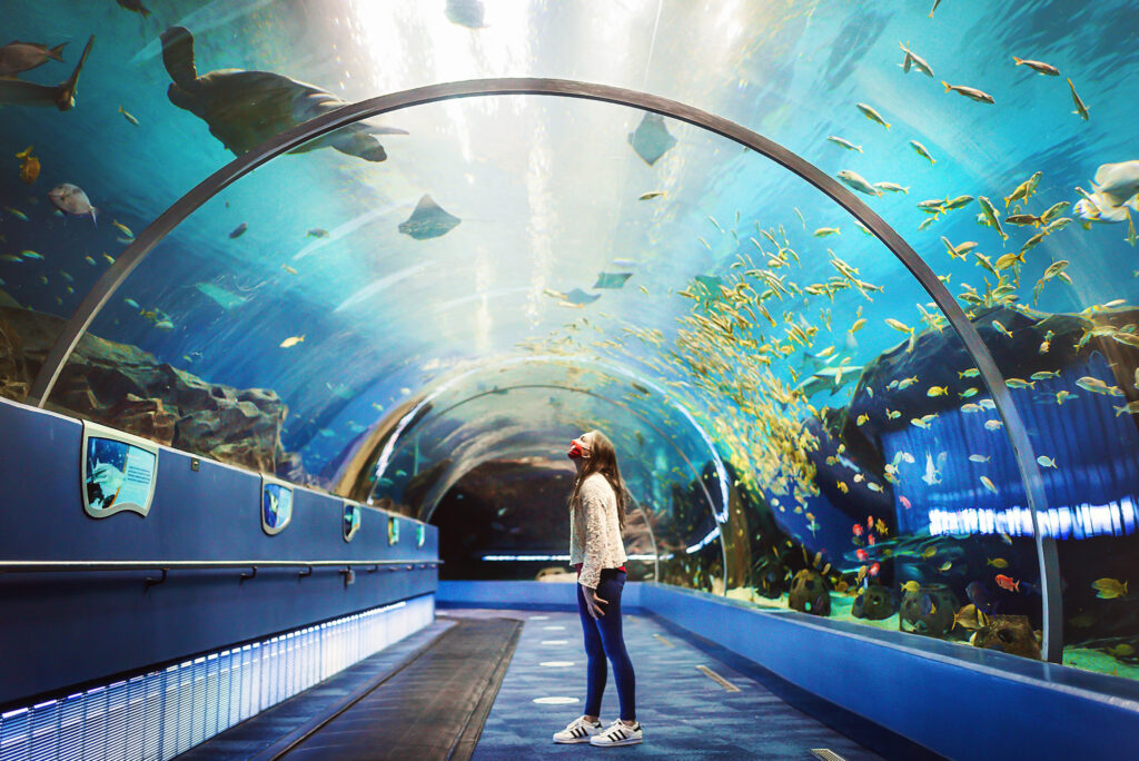 ᐈ 14 найбільших акваріумів у світі - великі акваріуми - самі великі 2024