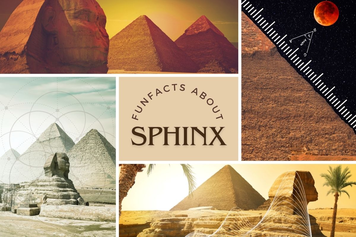 Цікаві факти про Sphinx