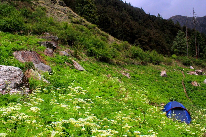 чудово -himalayan-national-park-trek