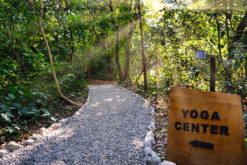 Доріжка з покажчиком до центру йоги в Сарака Корбетт у національному парку Джима Корбетта