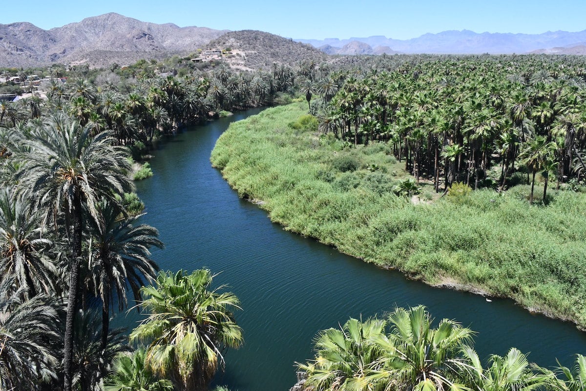 річка, що протікає через Мулеге в Нижній Каліфорнії