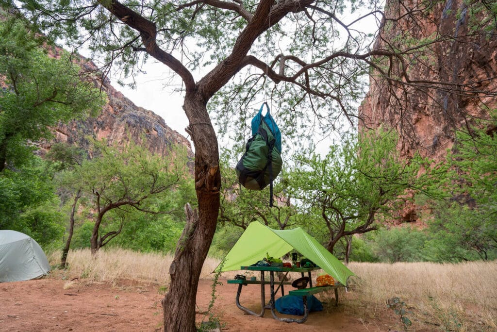 Місце для табору в кемпінгу Havasupai із встановленим наметом, закладеним спорядженням на столі для пікніка, брезент на столі та сумка, що висить на дереві