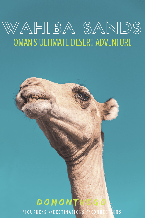 Дослідження пустелі – це головне місце в будь-якому маршруті Оману . Ознайомтеся з путівником DomOnTheGo щодо того, що робити та які місця не можна пропустити, вирушаючи на дослідження Вахіба-Сандс. | #WahibaSands #Oman #DesertAdventure #ExperienceOman