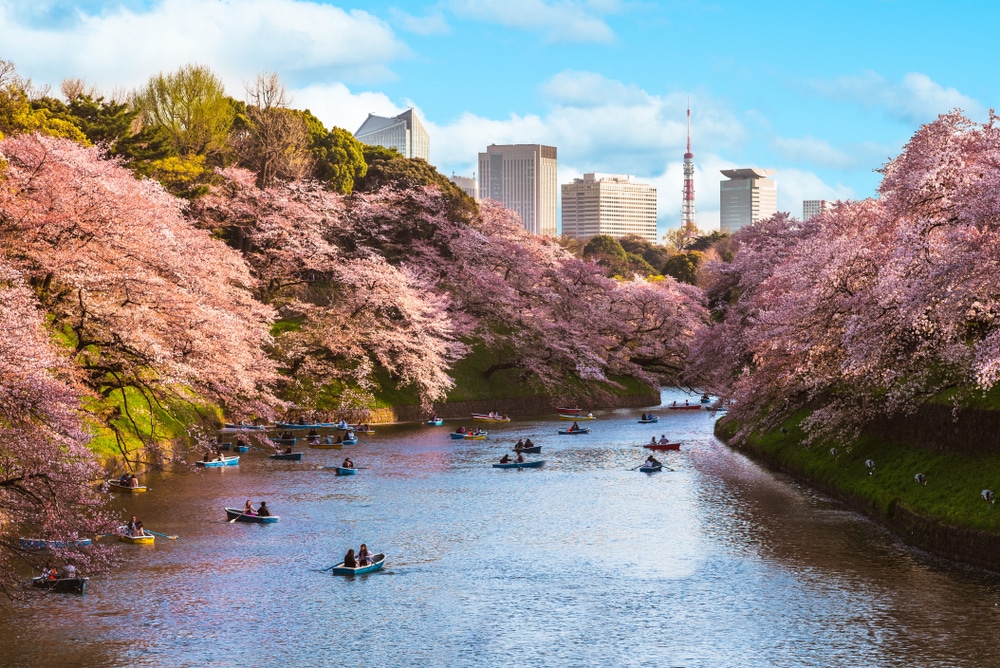 Місто Токіо під час розквіту – Японія має найпотужніші паспорти