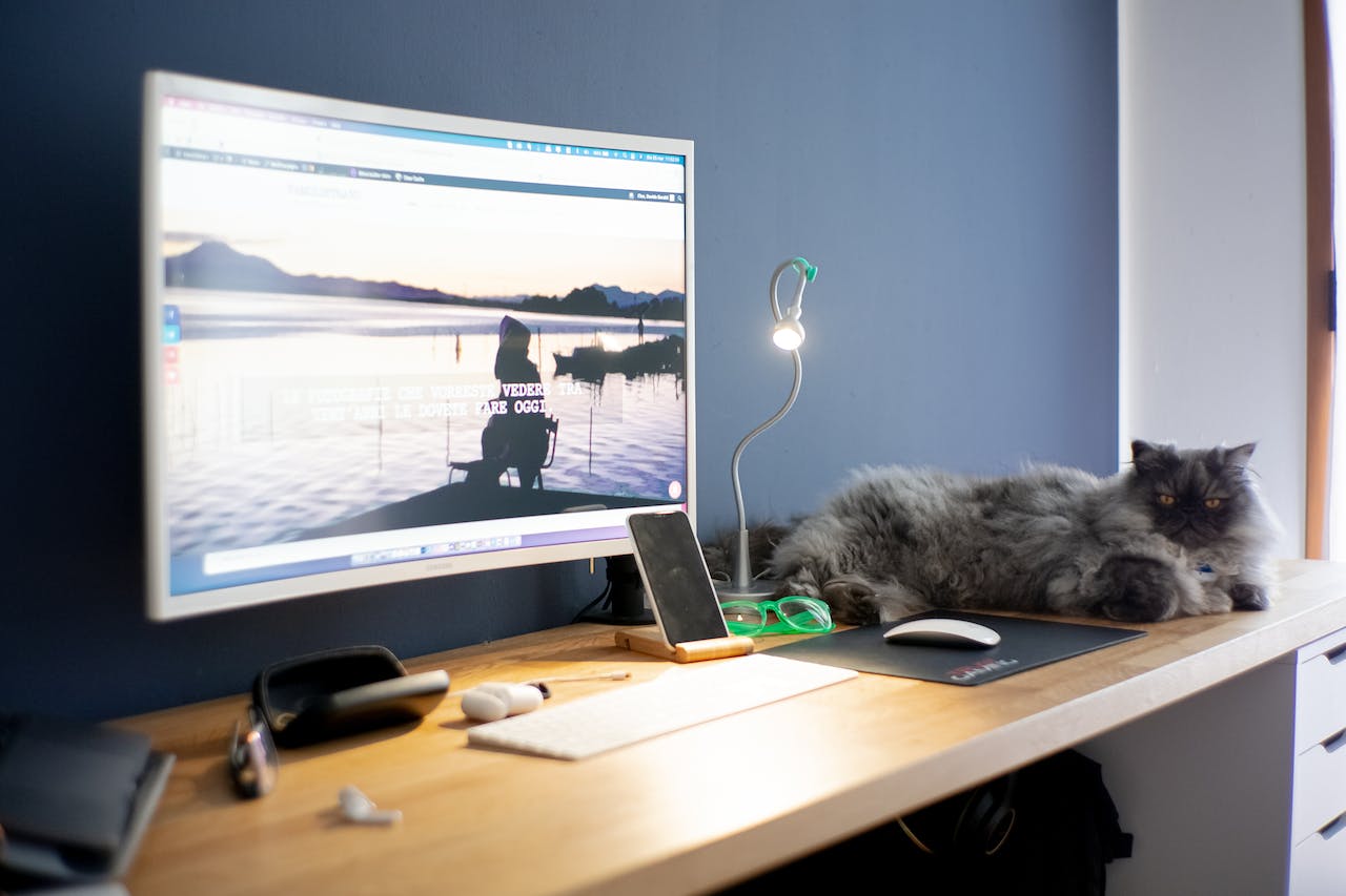 šedá kočka odpočívá na minimalistickém počítačovém stole