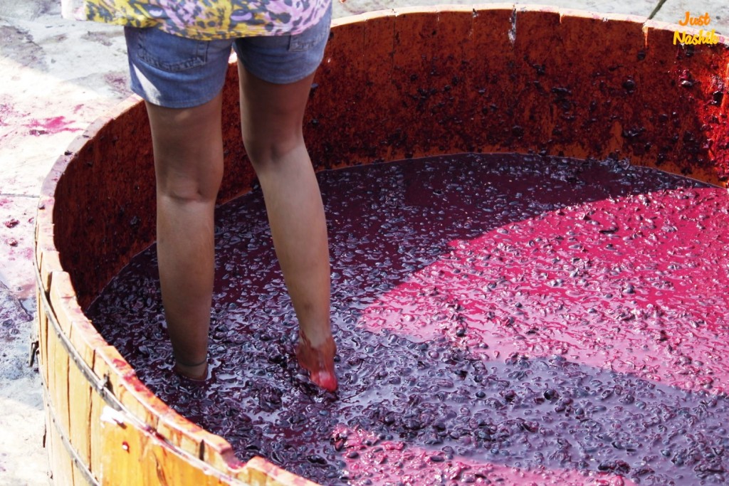 Топтання винограду на фестивалі вина Сула. Авторство зображення: justnashik.com