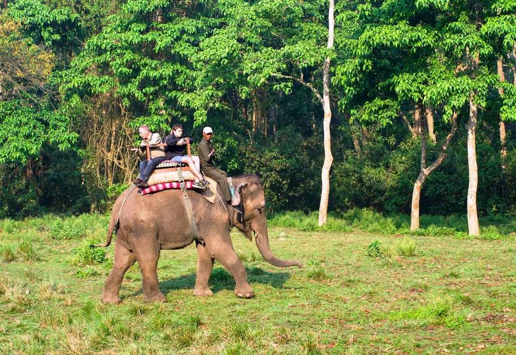 Сафарі на слонах у національному парку Чітван, Непал