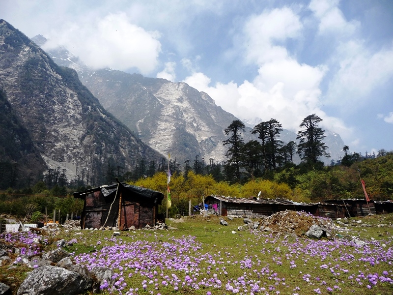 lachung-north-sikkim