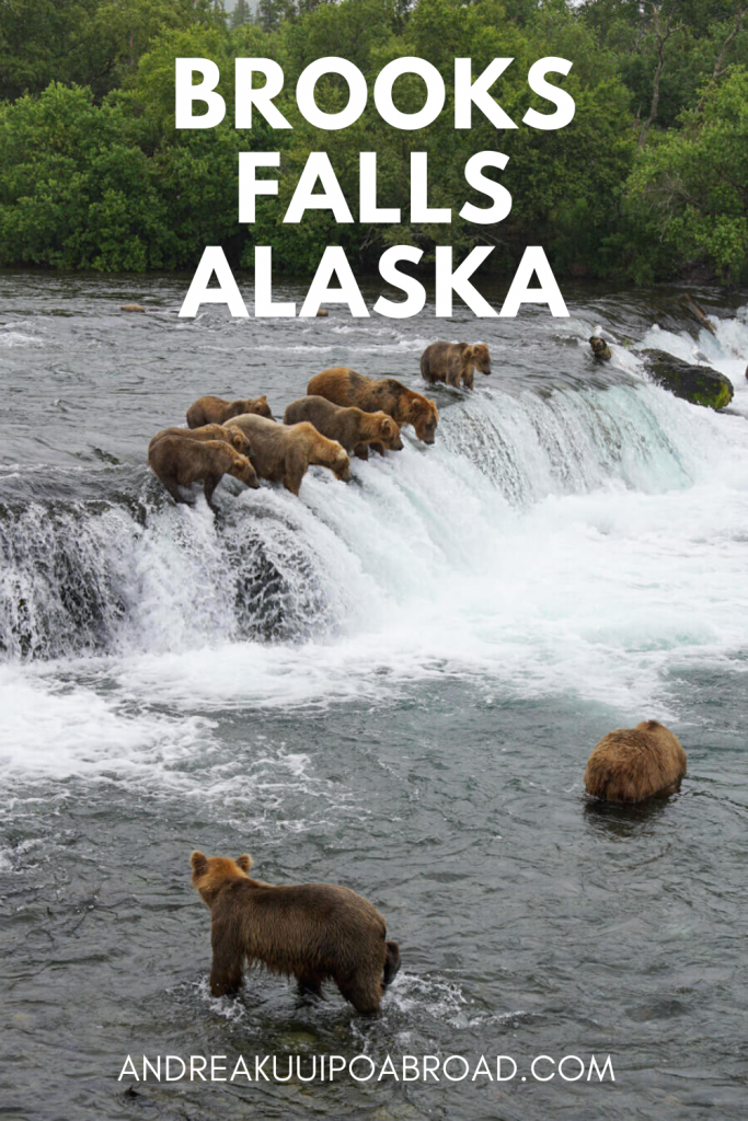Найдешевший спосіб Відвідайте водоспад Брукс у національному парку Катмай на Алясці. У липні бурі ведмеді ловлять рибу на водоспаді Брукс. Я нарахував у цьому районі одночасно 29 ведмедів. Це одне з найкращих місць для спостереження за ведмедями на Алясці». /><img loading=