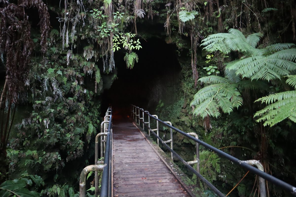 Вхід до лавової труби Thurston у Національному парку Гавайських вулканів