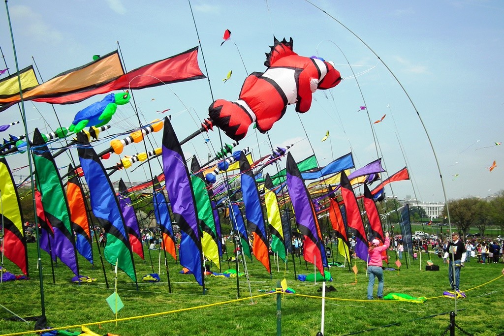 Кольоровий дисплей у Kite Фестиваль