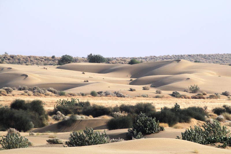 a_view_on_sams_sand_dunes