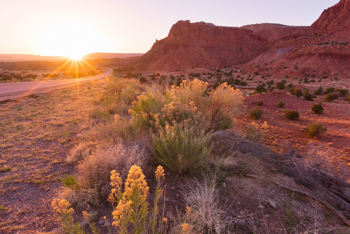 Пустеля Нью-Мексико на заході сонця