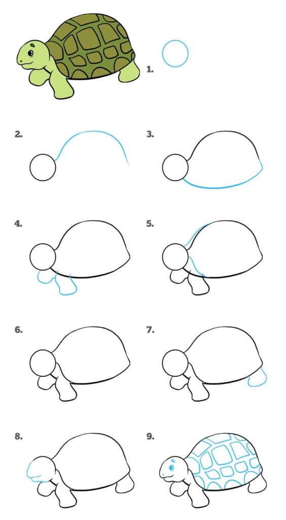 Як намалювати черепаху - Q&A - У вас питання? - У нас відповідь!