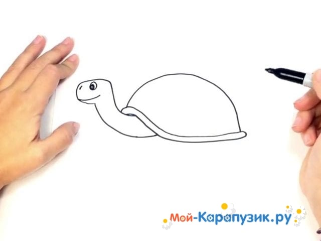 Як намалювати черепаху - Q&A - У вас питання? - У нас відповідь!