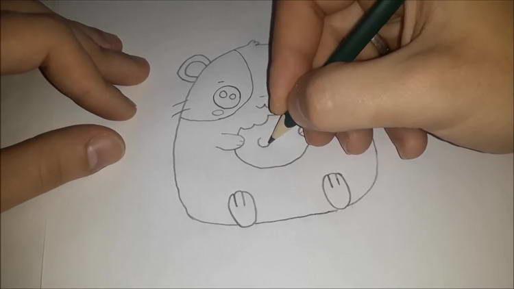 Як намалювати хомячка - вчимося малювати різні види хомячків поетапно