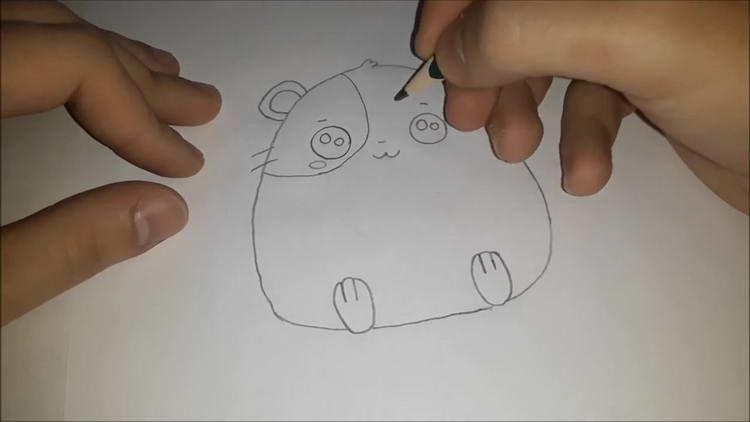 Як намалювати хомячка - вчимося малювати різні види хомячків поетапно
