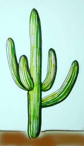 Як намалювати кактус - малюємо кактус різними способами