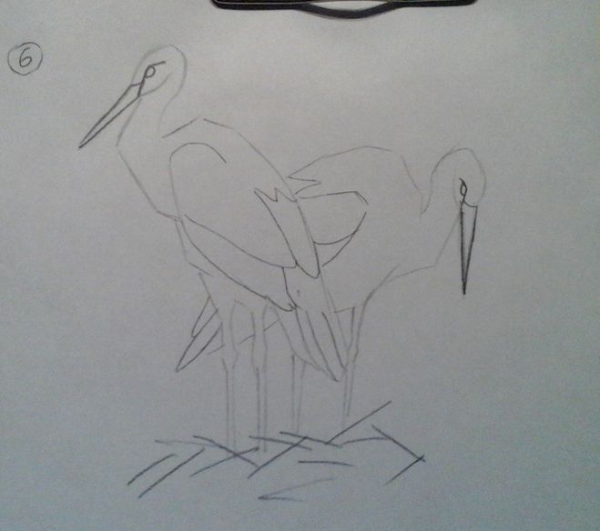Як намалювати лелеку - приклад малювання різних видів лелеки