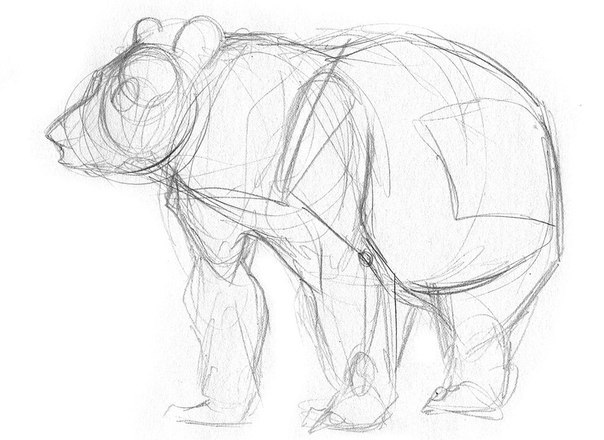 Як намалювати ведмедя - малюємо Ведмедя і Машу з мультфільму