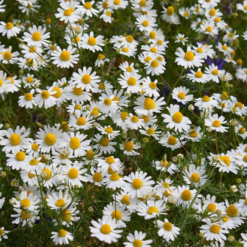 Як побороти безсоння