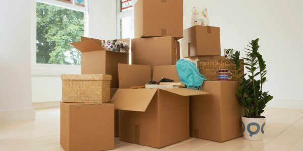 Як переваги може запропонувати професійний квартирний переїзд в Києві